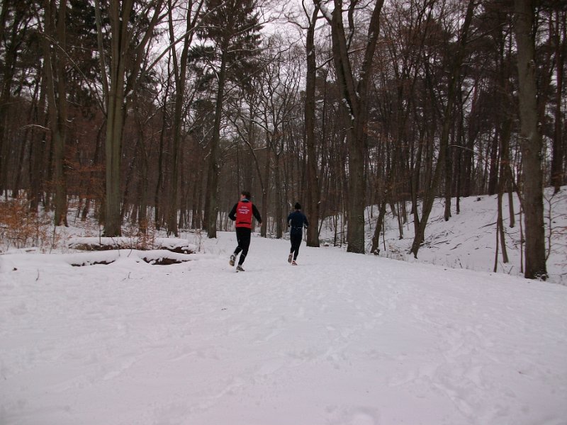 Crosslauf Bergedorf 034